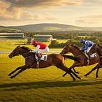 sandown classic day bet on